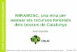 MIRABOSC, una eina per dels boscos de Catalunyaafib.ctfc.cat/wp-content/uploads/2013/04/MiraBosc-on-line-vIFN_CREAF.pdf · consultes de dasometria: • Informació del tipus funcional