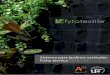 Sistema Fytotextile 2018-v2 - Jardines verticales en ......Fytotextile® es adecuado para jardines verticales de mediana y gran dimensión, y su sistema de instalación es sencillo