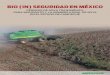 BIO (IN) SEGURIDAD EN MÉXICO · 2018-11-05 · BIO IN SEGURIDAD EN MÉXICO3 El crecimiento de la frontera agrícola en Hopelchén, Campeche vulnera la apicultura, principal actividad