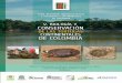 4. de las tortugas de Colombia Historia evolutiva y ...€¦ · de la concha y pleurodiras, tortugas que retraen el cuello lateralmente (Danilov y Parham 2008), grupos que han permane-cido