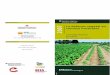 La defensa vegetal en conreus hortícolesruralcat.gencat.cat/migracio_resources/655017_Figueres_horticultura.pdf · Sr. Àlex Serres, president de l’ADV Floragrup. Sr. Antoni Rovira