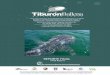 Taller para el análisis de la viabilidad de Shark... · 2013-05-15 · Taller para el análisis de la viabilidad de la población y el hábitat del tiburón ballena (Rhincodon typus):