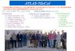 ATLAS-TileCal - Universitat de Valènciaific.uv.es/~fiorini/forCarlos/for_Carlos_TileCal_2018.pdf · L. Fiorini: ATLAS TileCal speaker committee Chair 2 PhD Thesis: D. Álvarez, “Measurement