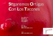 Segaremos Ortigas - Teatro del Contrahechoteatrodelcontrahecho.es/wp-content/uploads/2018/01/...historias entrelazadas por la figura del putero. EL ESPACIO ESCÉNICO El escenario se