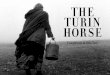 The Turin horse - Paco Pochla carreta; de eso viven. El padre lleva a cabo trabajos con la carreta, su hija se ocupa de la casa. Es una vida muy precaria e infinitamente monótona