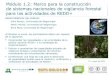 Módulo 1.2: Marco para la construcción de …...Módulo 1.2: Marco para la construcción de sistemas nacionales de vigilancia forestal para REDD+ Materiales de capacitación sobre