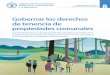 GOBERNANZA DE LA TENENCIA 8 - Food and Agriculture ... · voluntarias sobre la gobernanza responsable de la tenencia de la tierra, la pesca y los bosques en el contexto de la seguridad