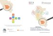 APURÍMAC€¦ · Informe de evaluación del PEFA correspondiente al Gobierno Regional de Apurímac, Perú, del 31 de julio de 2017 El proceso de control de la calidad seguido para