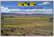ROKMASTERRESOURCES CORP. Proyecto Pinaya …proactivo.com.pe/wp-content/uploads/2014/03/rokmaster...ROKMASTERRESOURCES CORP. Proyecto Pinaya de cobre‐oro, Perú * * *El informe de