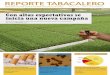 Ministerio de Desarrollo Productivo - REPORTE TABACALERO · PDF file 2. Cooperativa de Productores Agropecuarios de Tucumán Ltda., acuerda el precio definitivo para el Tabaco Burley