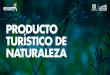 TURISMO DE NATURALEZATENDENCIAS MUNDIALES Colombia gran potencial como destino para el Turismo de Naturaleza. El Sector recibe US$ 215 billones al año, según la OMT. Es el principal