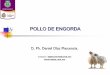 POLLO DE ENGORDA - WordPress.com...2017/06/03  · Informe general. El encargado de la granja anota diariamente, mortalidad, consumo de alimento y peso promedio semanal de las aves