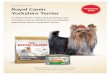 Guía de proyecto trnd Royal Canin trnd Proyecto Yorkshire ...trndload.com/es/royal-canin-yorkshire-terrier/trnd-es_Royal-Canin... · Formulado para satisfacer las necesidades nutricionales