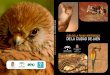 LA DE GUÍA DE LA FAUNA VERTEBRADA FAUNA VERTEBRADA DE … · 2020-04-28 · 4 Guía de la Fauna vertebrada de la Ciudad de Jaén 5 Edita: Concejalía de Medio Ambiente y Salud. Excmo