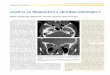 ¿Cuál es su diagnóstico y abordaje quirúrgico?scielo.isciii.es/pdf/maxi/v28n1/residente1.pdf · Microscópicamente, la biopsia inicial fue catalogada como ade-nocarcinoma papilar
