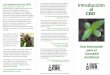 ProjectCBD Brochure back · donde se ha legalizado la marihuana medicinal. Existen remedios disponibles en diferentes formas: hierba (flores), comestibles, cremas, tinturas, extracciones