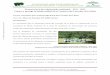 Proyecto local de voluntariado ambiental 2011 - 2012 ...Jornada de identificación de monte mediterráneo, organizada por la asociación ... 6 – 1ª Insecto palo III ENCUENTRO ANDALUZ