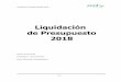Liquidación de Presupuesto 2018 - ESPH 2018 final.pdf · El resultado de la liquidación del presupuesto del 2018 reflejó un superávit Total de ¢ 6.172.045,0 miles, de los cuales