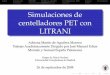 Simulaciones de centelladores PET con LITRANInuclear.fis.ucm.es/webgrupo_2007/TRABAJOS GRUPO... · Indice Introducci on LITRANI Problemas sencillos Centelladores de LSO GammasConclusiones