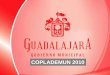 COPLADEMUN 2010 - Gobierno de Guadalajara · 1. Estancia Infantil en San Juan De Dios 6,786 2. Estancia Infantil en El Retiro 7,916 3. Estancia Infantil en Analco 12,541 4. Estancia