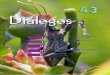 Presentación - Consejo de Ciencia y Tecnología · entre 15 y 35 0C. Sin embargo, hay hongos entomopatógenos de regiones tropicales que pueden sobrevivir hasta arriba de los 35oC