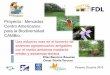 Proyecto : Mercados Centro Americanos para la Biodiversidad de agroforesteria... · 2010-12-21 · puente natural de muchas aves migratorias. Los sistemas extensivos representan uno