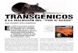 JoF. Revista de Divulgación Científicafundacion-antama.org/.../2012/...del-por-si-acaso.pdf · unilateralmente un cultivo transgénicos por cuestiones ideológicas. La presión