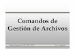Comandos de Gesti ón de Archivos - carambula.net · Comandos para la tabla de directorios y espacio ocupado en bloques. Sistemas Operativos III - ETB – EMT - CETP Prof. L. Carámbula