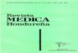 Revista - CIDBIMENAcidbimena.desastres.hn/RMH/pdf/1993/pdf/Vol61-4-1993.pdf · Blastos mielomonociticos con diferenciación granulocitica y monodtica. M4-Eo. M4 con eosinofilia en