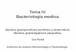 Tema IV. Bacteriología medica. - Infomeduvsfajardo.sld.cu/.../v_bacilos_gram_negativos_pequenos_-_1ra_parte… · Bacilos grampositivos aerobios y anaerobios. ... Se agrupan en: