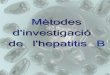 Mètodes d’investigació de l’hepatitis B · Zeronegativitat per hepatitis B i C i per altres tipus d’hepatitis. Hipergammaglobulinemia12. Anticossos. Associació al HLA-B813,