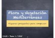 Flora y Vegetación Mediterráneas - Universidad de Sevillaasignatura.us.es/afloveg/Presentaciones-FVM/FVM01-Flora-Vegetacion-color.pdf · FLORA como documento Obra que trata de ellas,