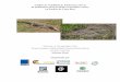 Análisis de Viabilidad de Poblaciones (PVA) de poblaciones ... Crocodile popupl… · San José, Costa Rica Informe Final Organizado por Análisis de Viabilidad de Poblaciones 