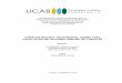 CARACAS BICIADA: DOCUMENTAL SOBRE TRES COLECTIVOS DE CICLISMO …biblioteca2.ucab.edu.ve/anexos/biblioteca/marc/texto/AAS... · 2016-04-12 · 1. El Ciclismo Urbano 1.1 Definición
