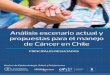 Análisis escenario actual y propuestas para el …...Análisis escenario actual y propuestas para el manejo de Cáncer en Chile PRINCIPALES RESULTADOS Núcleo de Epidemiología, Salud