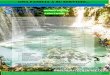 UNA FAMILIA A SU SERVICIO…rafting.huastecasharet.com/wp-content/uploads/2017/...verde turquesa y entre cañaverales llega a admirar el intenso azul turquesa de las cascadas de Minas