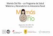 Mamás Del Río un Programa de Salud Materna y Neonatal en ...€¦ · Community-Health Workers (CHW) Adapted MINSA/WHO home visit package-Surveillance and enrolling of women - Home