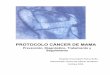 PROTOCOLO CÁNCER DE MAMA€¦ · .- 1 cáncer de mama bilateral con edad mayor a 50 años A estas pacientes se les realizará mamografías anuales desde los 40 años o antes según