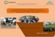 PLAN DE MANEJO AMBIENTAL DE LA …...El Plan de Manejo Ambiental de la Universidad Nacional de la Amazonia Peruana, ha sido elaborado en el marco de la Política Ambiental, la cual