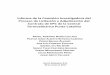 Informe de la Comisión Investigadora del Proceso de ... · al consorcio Odebrecht-Tecnimont-Estrella. A la fecha de ese Decreto, de acuerdo a las informaciones suministradas por
