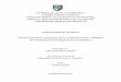 UNIVERSIDAD CATÓLICA ANDRÉS BELLO VICERRECTORADO …biblioteca2.ucab.edu.ve/anexos/biblioteca/marc/texto/AAQ9447.pdf · proyectos con requerimientos de Infraestructura Tecnológica