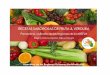 AREFLH - Besana Portal Agrariobesana.es/sites/default/files/livre_recette_-_es.pdf · 2013-11-27 · AREFLH – Assamblea de las Regiones Europeas Hortofruticolas - 3 . Cocinar frutas