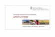 Estrategia de Innovación en Navarra: Evolución y …...> Las universidades en el desarrollo tecnológico de las empresas > Potenciación de centros Marco normativo > Recomendaciones