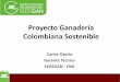 Proyecto Ganadería Colombiana Sostenible · predios ganaderos cuentan con menos de 50 cabezas. Fuente: Fedegán - Cálculos Oficina de Planeación. Inventario Ganadero con base en