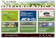 SECRETARIA EJECUTIVA DE LA CIAO INFORGANICA · Boletín informativo de la Comisión Interamericana de Agricultura Orgánica ... (XXVIII-0/08). 2007 Se acuerda en la Reunión de Managua,
