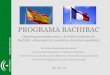 Presentación de PowerPointiesdrago.com/web/images/PPT_Informacin_BACHIBAC_2013_2014_-2.pdf · •Conocer la lengua y la literatura de los países francófonos. •Adquirir competencias