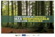 cómo hacer mi empresa más responsableasmadera.com/wp-content/uploads/2014/11/FOREST baja_FSC.pdf · suar y definir un modelo de desarrollo más seguro entorno a los bosques. después