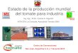 Estado de la producción mundial del tomate para industriatomate-argentino.com.ar/Ponencias/Argerich... · •Ketchup por ejemplo, contiene 10-14 mg/100 g del antioxidante licopeno