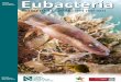 Revista Eubacteria - Universidad de Murcia · en la Facultad de Biología, con la asistencia de su familia, el presente número, el 37, es completamente distinto. Presentamos una