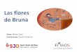 Las flores de Bruna - Faros HSJBCN · 2018-02-26 · ofrecer dos flores, pero con paciencia y sin desfallecer, Bruna siguió buscando palabras amables que cada día regalaba a sus